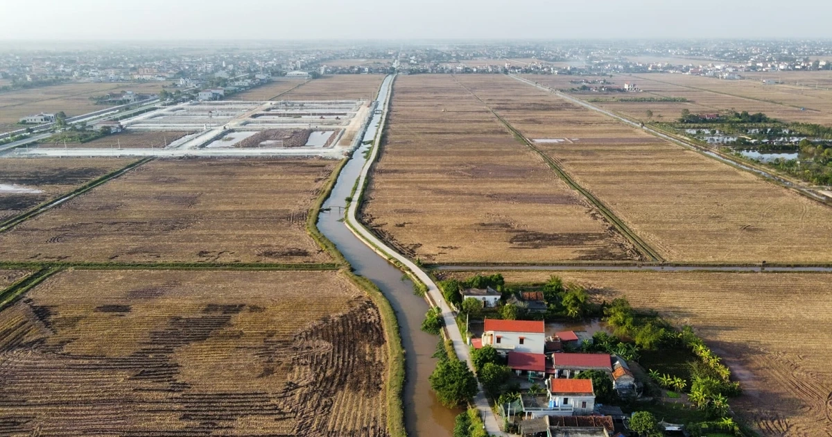 Bỏ cọc hàng loạt sau 'sốt' đấu giá đất vùng quê