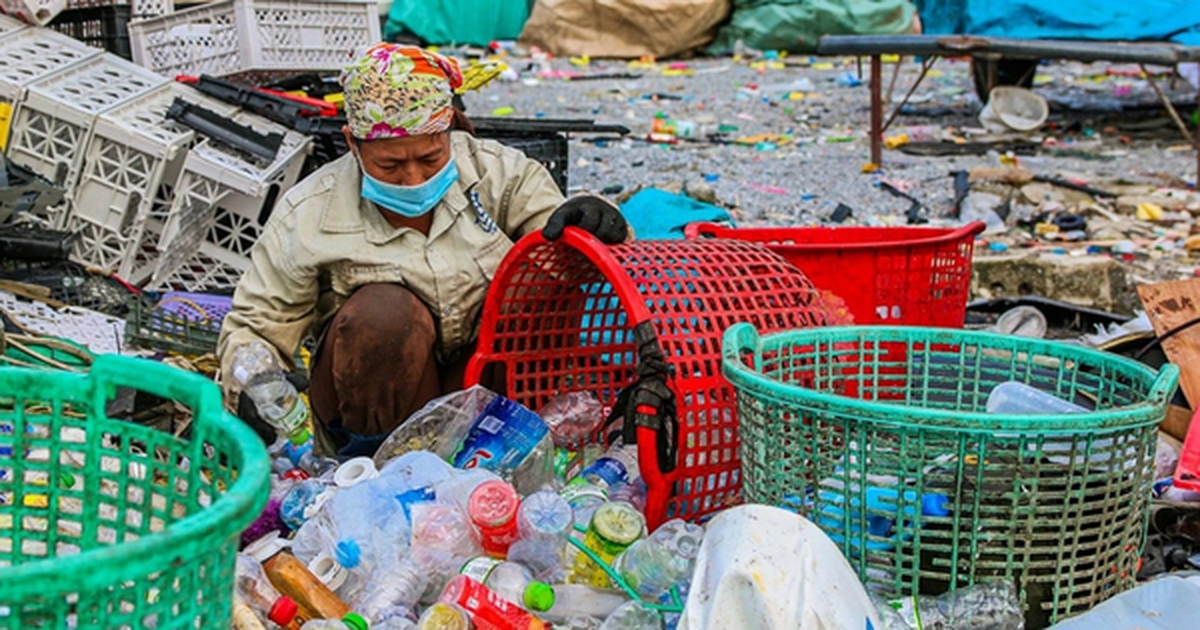 Muốn DN đóng thuế thay bà đồng nát: 'Khó thực hiện, không công bằng'?