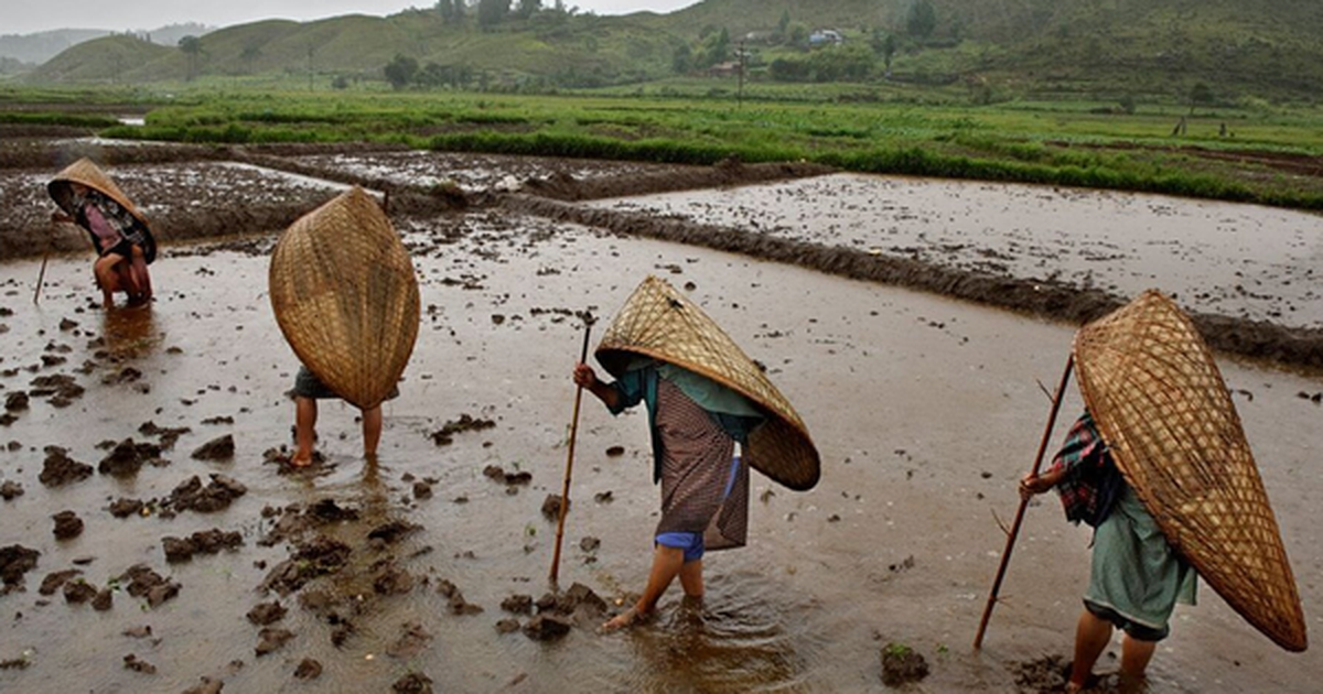 Bí ẩn ngôi làng mưa nhiều nhất thế giới: Cả năm không khô nổi một ngày
