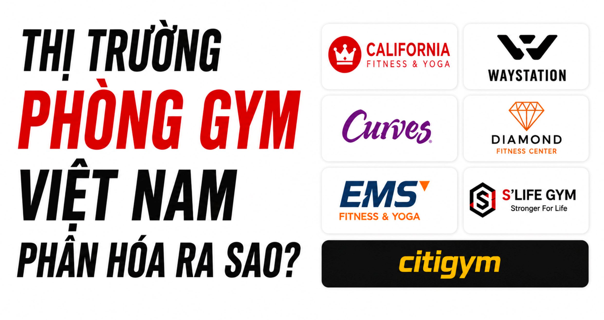 Chuỗi 'rèn múi luyện cơ' giá rẻ 300.000 đồng/tháng lăm le soán ngôi vua phòng gym của California Fitness, riêng Fitness Elite mất hút khỏi top đầu