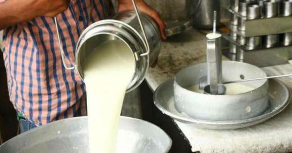 Đột kích một căn nhà, công an triệt phá đường dây sản xuất sữa giả từ hóa chất, tịch thu bột mì, sorbitol và máy pha trộn công nghiệp