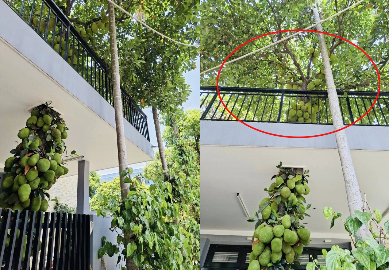 Từ tài sản nghỉ dưỡng đến tuyên ngôn vị thế mới của giới đầu tư phía Nam - Ảnh 5