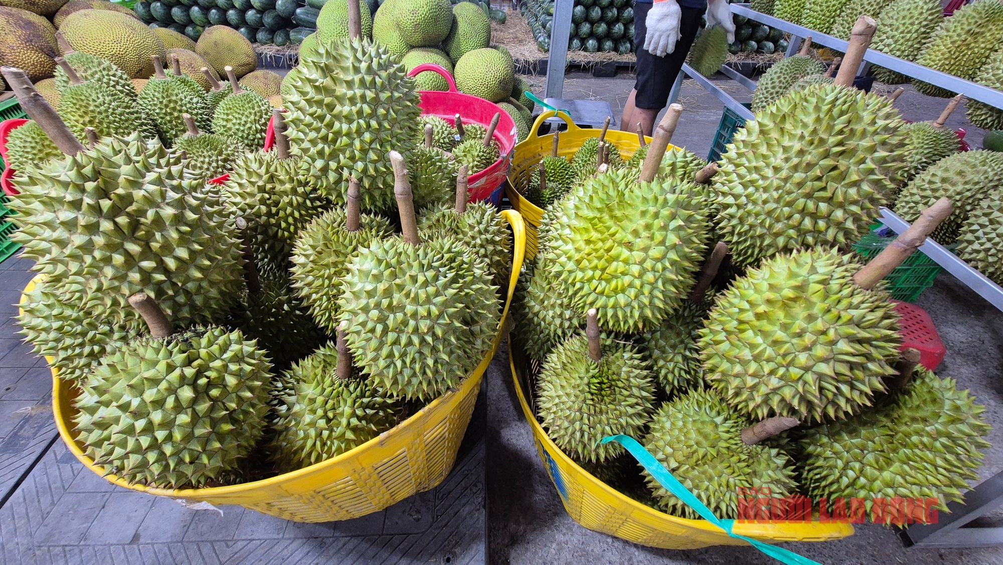 Ngành điều, gạo, rau quả trước quy định nhập khẩu mới của Trung Quốc - Ảnh 1