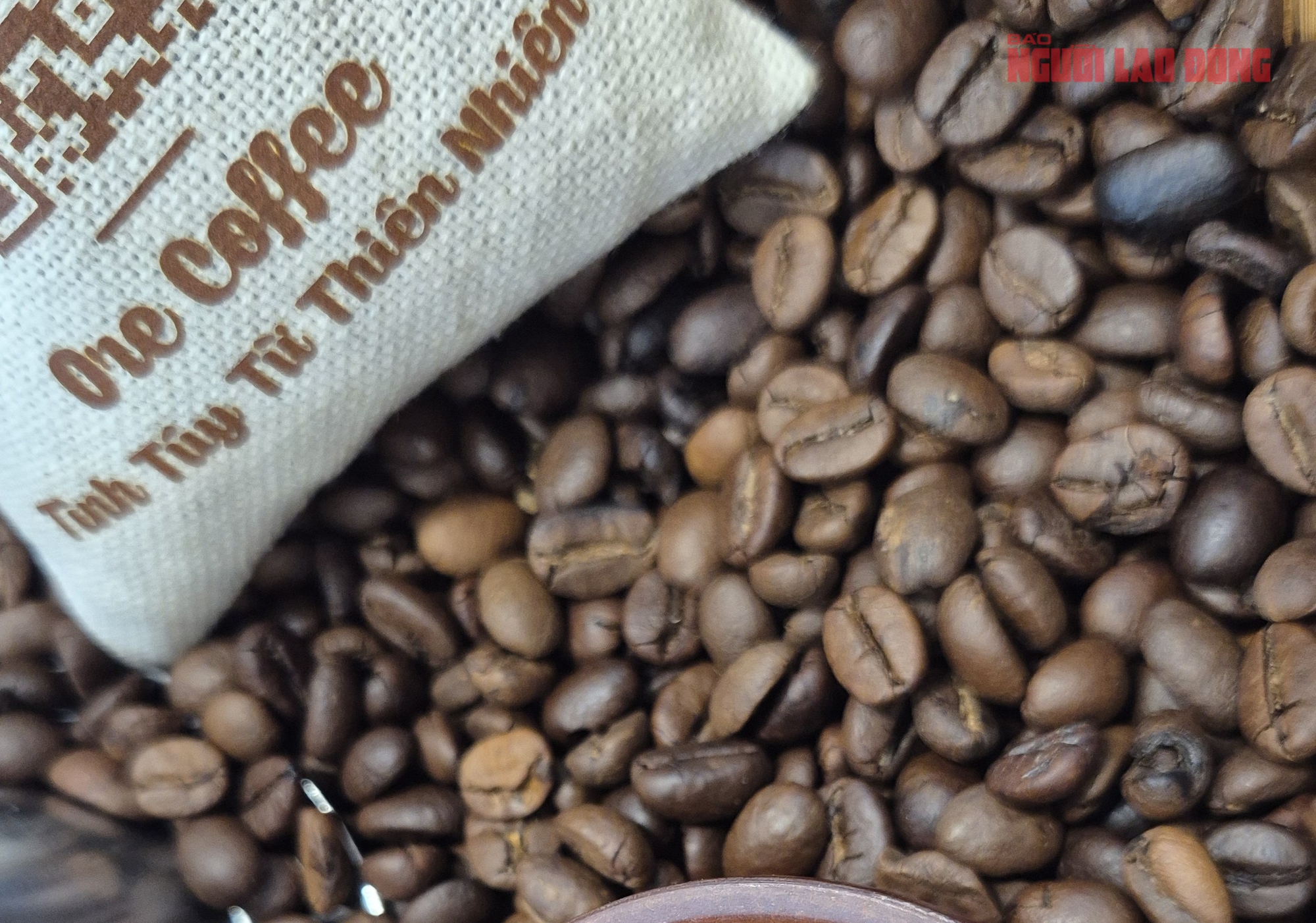Giá cà phê hôm nay 23-5: Robusta tăng tiếp - Ảnh 1