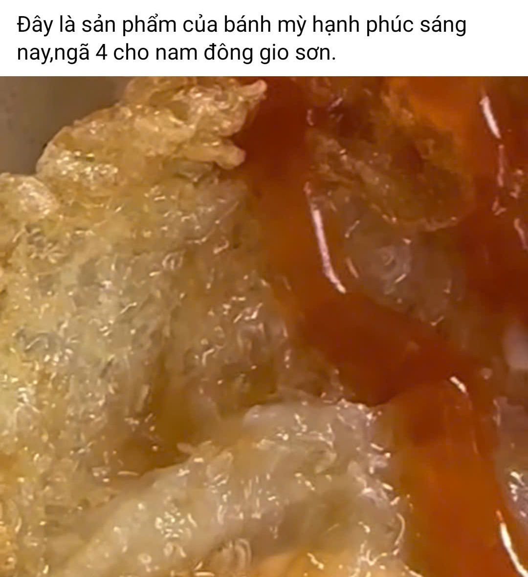 Vụ dòi lúc nhúc trong hộp xôi: Tạm đình chỉ cơ sở bánh mì Hạnh Phúc - Ảnh 1