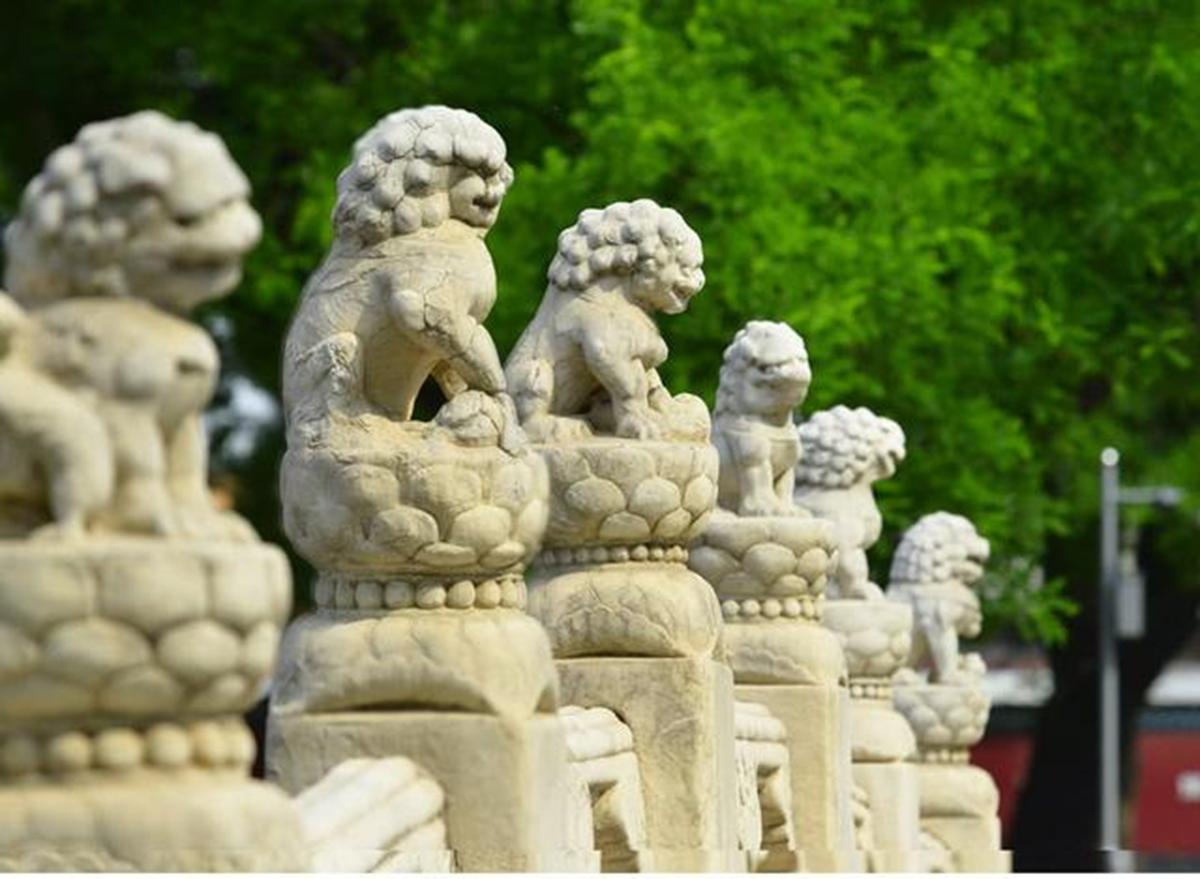 Ẩn ý kinh ngạc trong Tử Cấm Thành: Vì sao sư tử đá lại được khắc với đôi tai cụp? - Ảnh 3