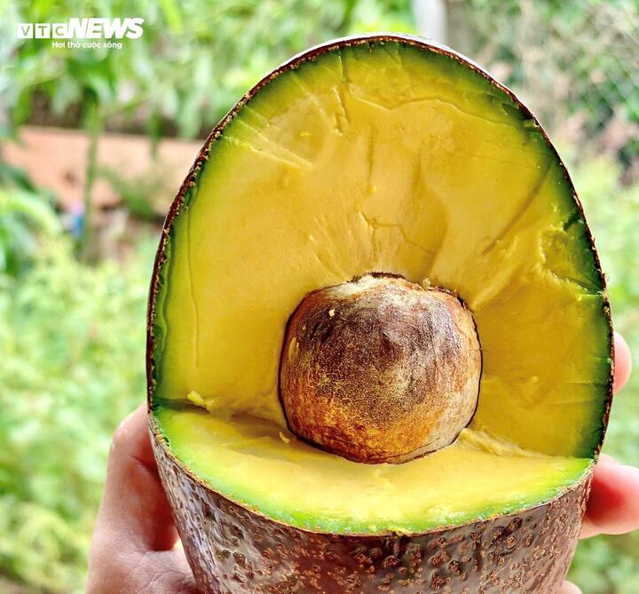 Bơ 160.000 đồng/kg vẫn ‘cháy hàng’, khách muốn mua phải đặt trước cả tháng - Ảnh 6