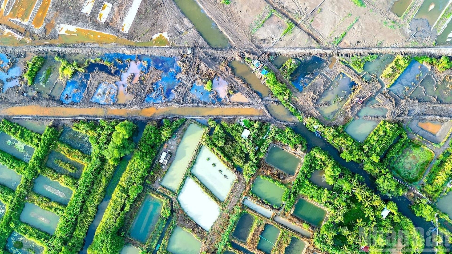 Thi công sân bay làm cá chết hàng loạt: Lãnh đạo Cà Mau yêu cầu ACV đền bù cho người dân - Ảnh 3