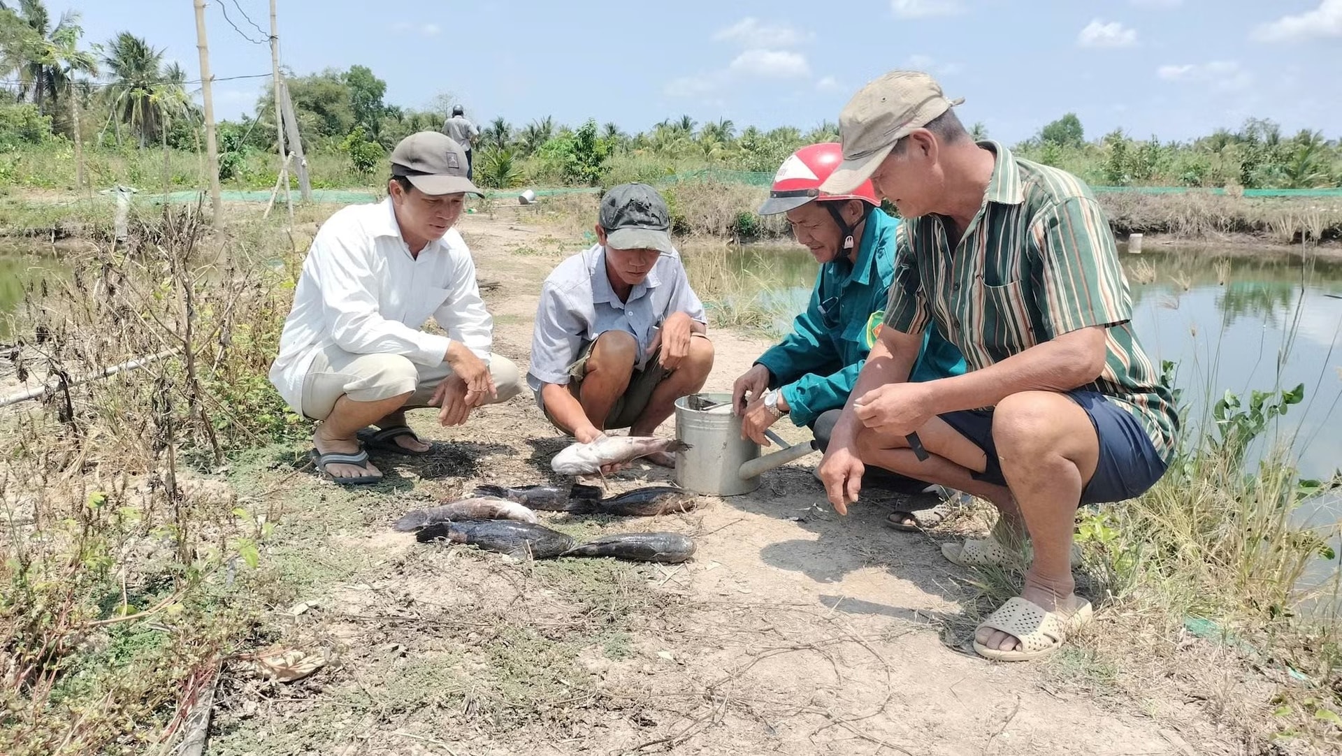 Thi công sân bay làm cá chết hàng loạt: Lãnh đạo Cà Mau yêu cầu ACV đền bù cho người dân - Ảnh 4