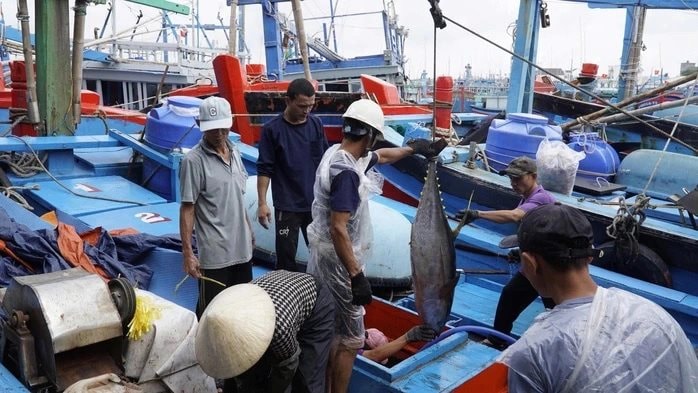 "Siêu tỉnh" của VN có “rừng vàng, biển bạc” muốn xây trung tâm đấu giá sản vật gần tỷ USD đầu tiên ở ĐNÁ - Ảnh 2