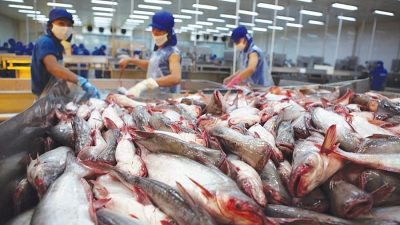 Một đặc sản Việt đang 'đổi vận' nhờ sức mua khủng từ nước láng giềng: Thu về hơn 500 triệu USD trong quý I - Ảnh 3