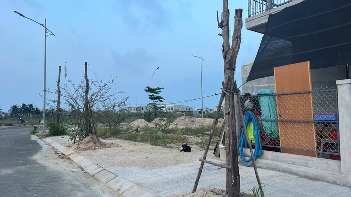 Cây xanh chết hàng loạt tại khu đô thị mới ở TP Huế: Chủ đầu ra "biện pháp mạnh" - Ảnh 1
