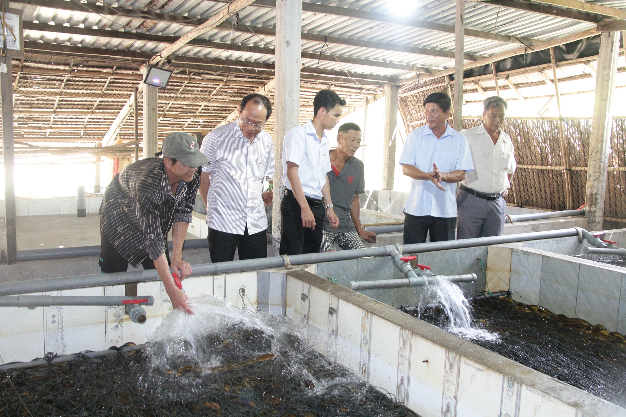 Hệ lụy từ việc đua nhau sản xuất theo phong trào - Ảnh 1