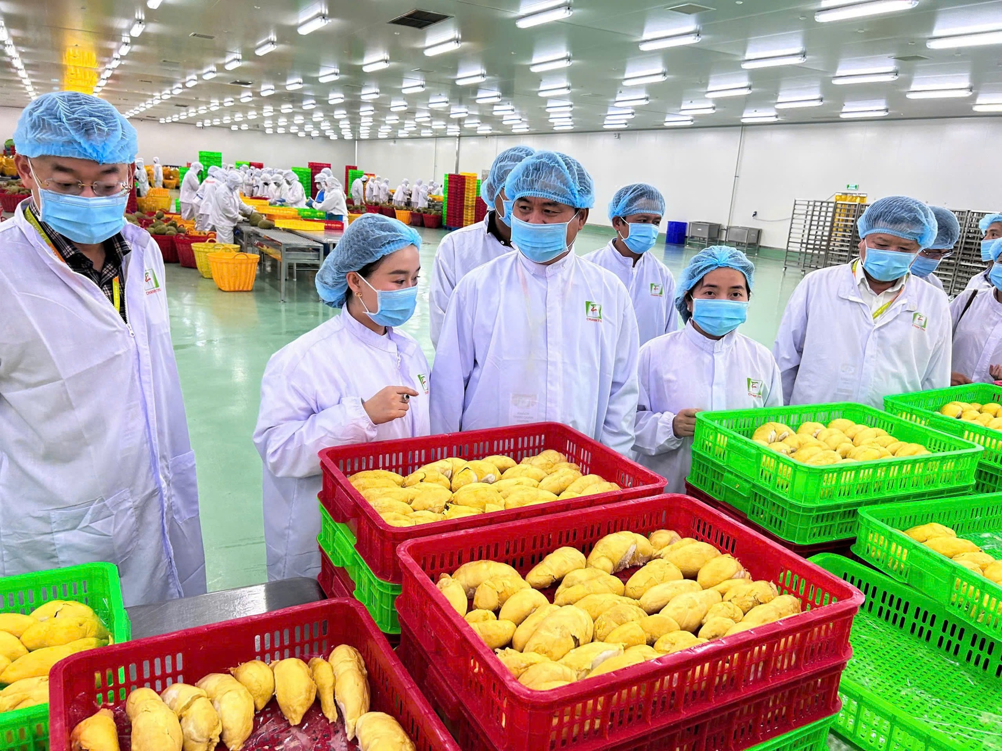 Nông sản Việt thích ứng quy định từ Trung Quốc - Ảnh 1