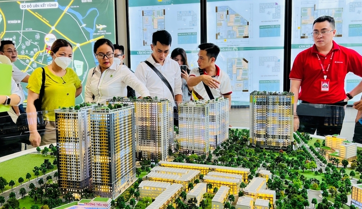 Cò nhà đất bán giá ảo hết 'đất sống' - Ảnh 2