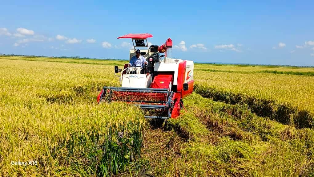 Cuba đón tin cực vui từ Việt Nam - Ảnh 2