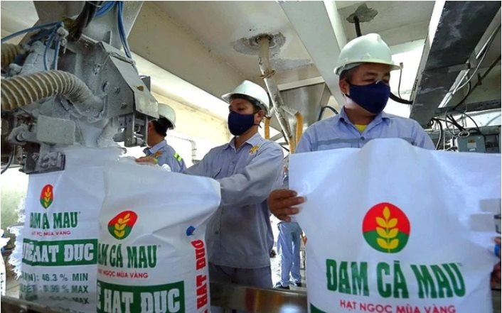 Hưởng lợi lớn từ “cơn sốt” urê toàn cầu, Đạm Cà Mau (DCM) báo lãi đột biến trong quý 1 - Ảnh 1