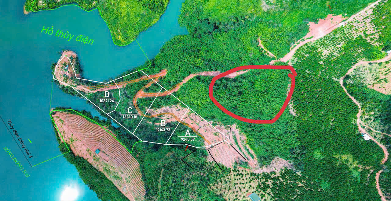Tin vui cho người mua "đất giấy tay" trước 2024 - Ảnh 1