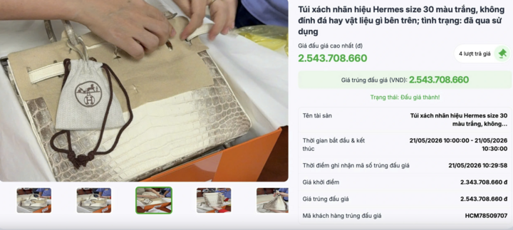 Đấu giá thành công 2 túi Hermès bạch tạng của Trương Mỹ Lan, thu hơn 14 tỷ đồng - Ảnh 1