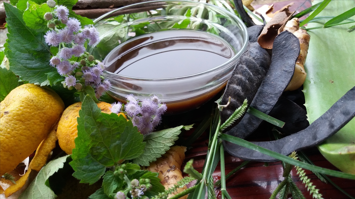 Loại quả 'mọc hoang' của Việt Nam 'khát hàng' tại Trung Quốc, giá hơn 2 triệu đồng/kg - Ảnh 2