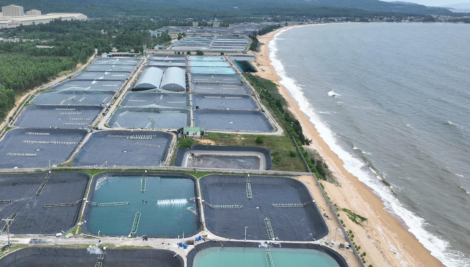 Sở hữu đường bờ biển dài 82km nhưng chưa được kích hoạt hết tiềm năng, loạt 'ông lớn' đề xuất đầu tư cảng biển tại một tỉnh miền Trung, cạnh tranh cùng Nghi Sơn, Vũng Áng - Ảnh 1