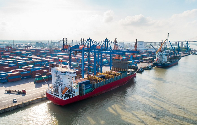 Cảng Đình Vũ chốt ngày trả cổ tức tiền mặt tỷ lệ 50% - Ảnh 1