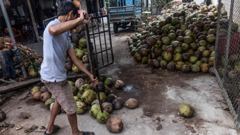 Một mặt hàng được dự báo trở thành 'của hiếm' ở Đông Nam Á vì nhiên liệu sinh học - đó là gì? - Ảnh 7