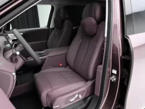 Một mẫu xe Trung Quốc nhận 25.000 đơn hàng sau nửa ngày mở bán - Ảnh 4