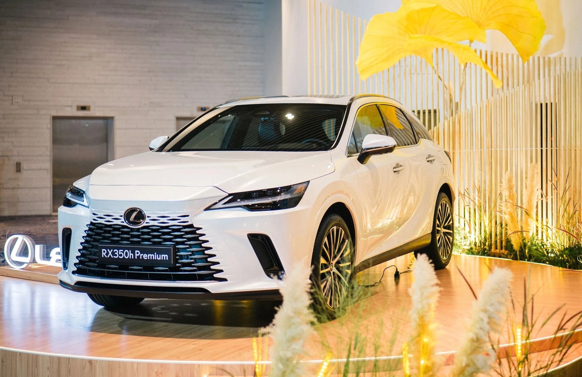 Hết gặp khó ở châu Á, Toyota, Honda, Mazda lại đối mặt với một 'bài kiểm tra sống còn' ở một thị trường từng 'làm mưa làm gió' một thời - Ảnh 3