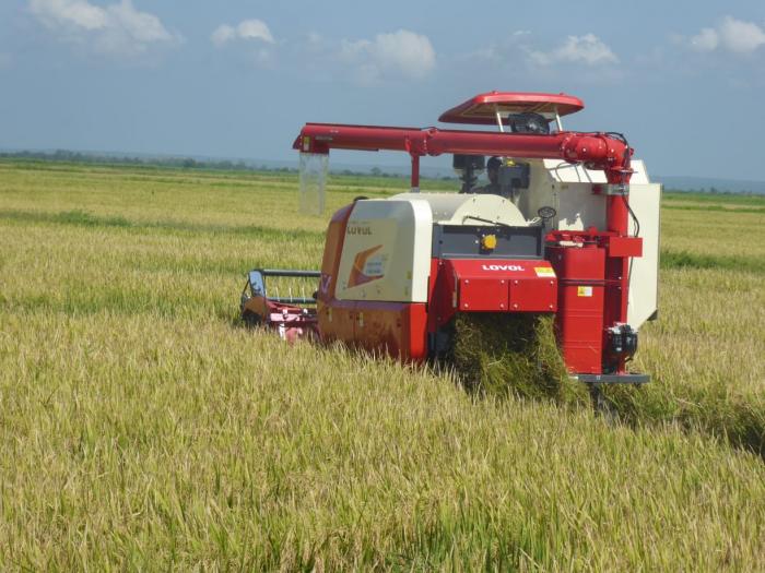 Cuba đón tin cực vui từ Việt Nam - Ảnh 1