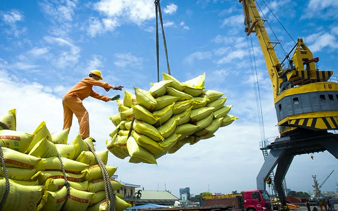 Giá gạo xuất khẩu tăng - Ảnh 1