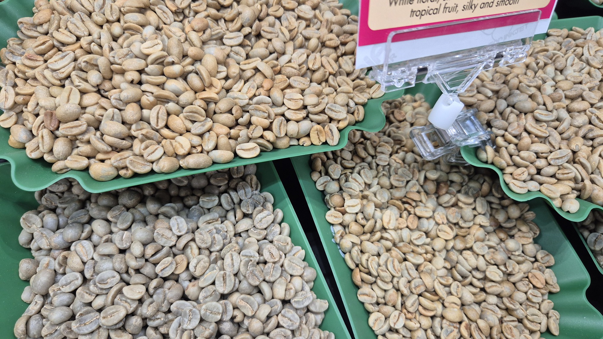 Giá cà phê hôm nay 14-5: Robusta tăng mạnh - Ảnh 1