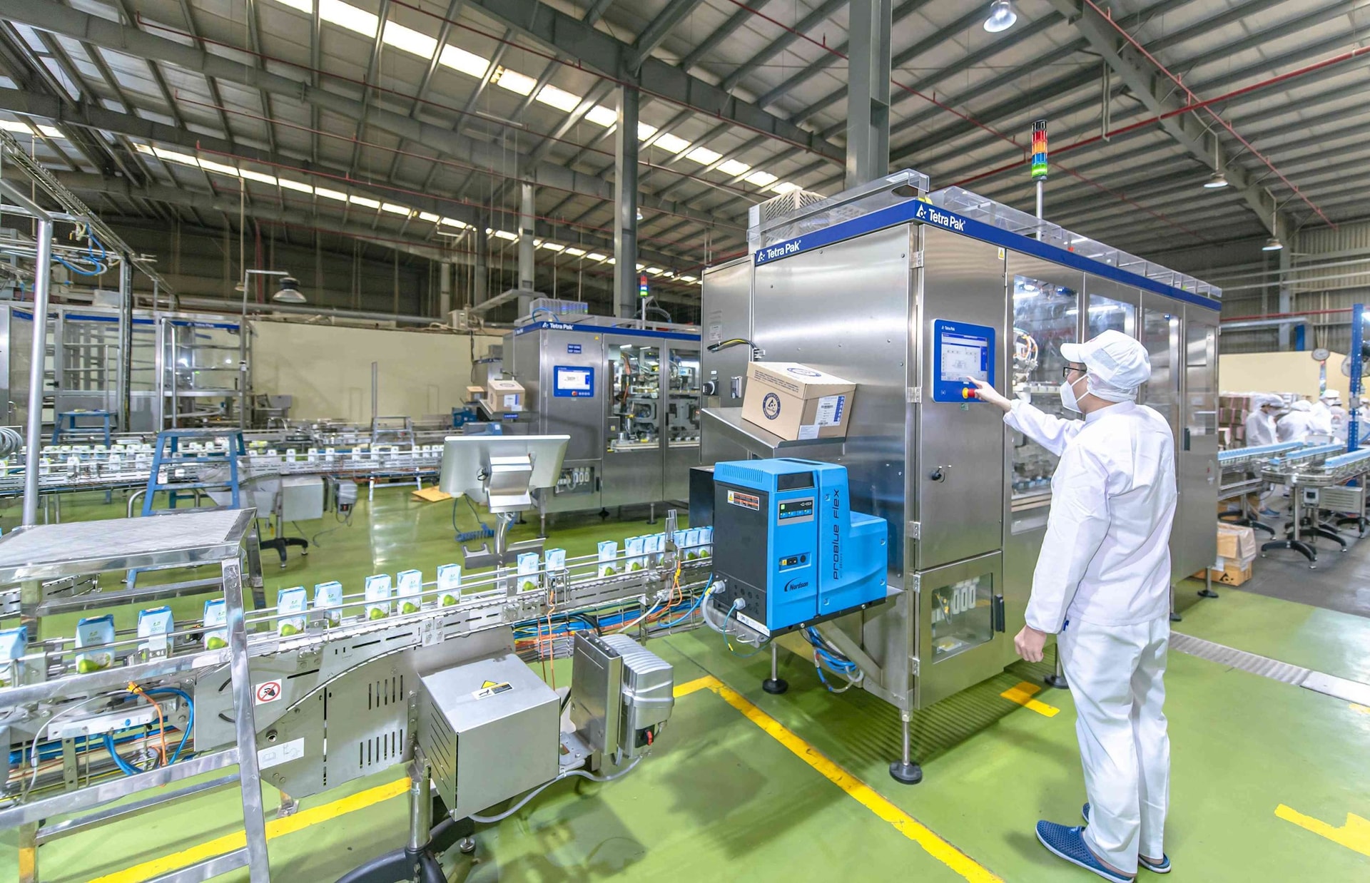 Hơn 50% diện tích dừa cả nước tập trung tại đây: Lộ diện nhà máy 60.000 m2 tham vọng "đánh chiếm" kệ hàng Mỹ - Ảnh 6