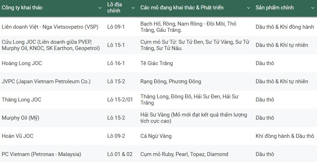 Petrovietnam thông báo quan trọng về bể trầm tích lớn nhất cả nước - Ảnh 1