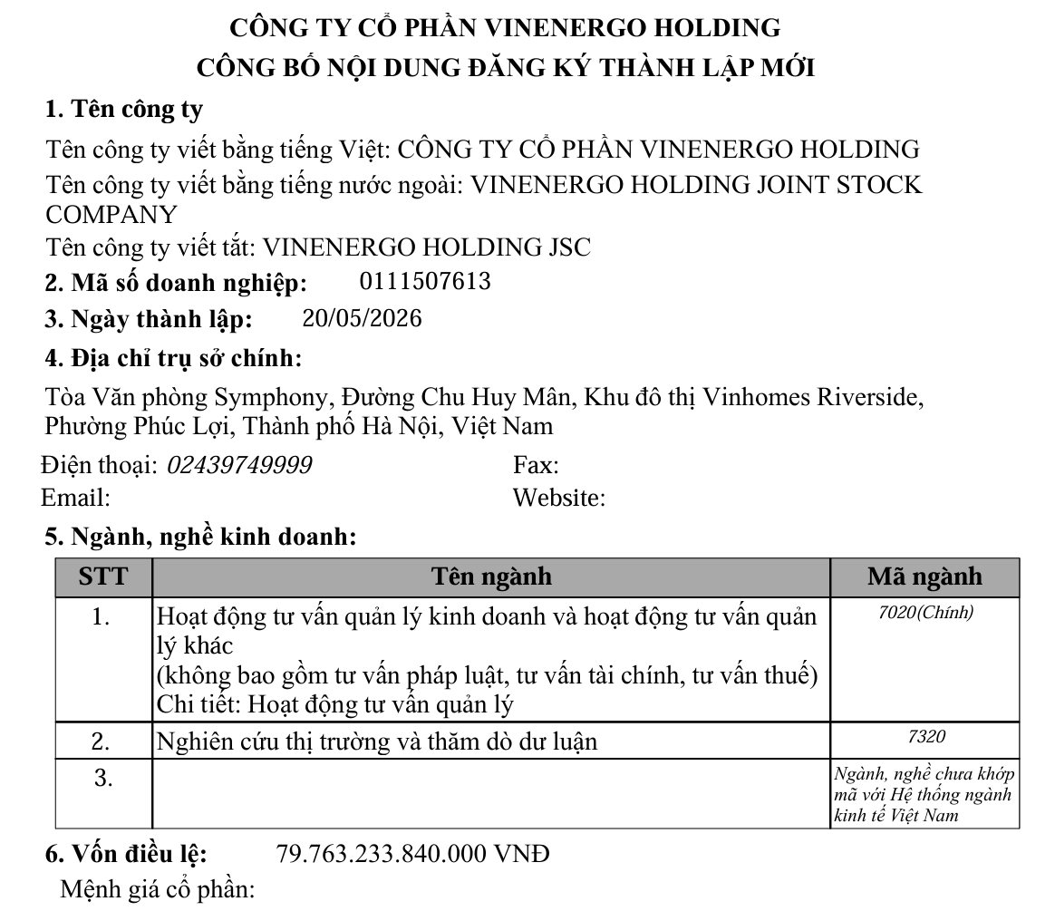 Tỷ phú Phạm Nhật Vượng vừa lập thêm VinEnergo Holding vốn 80.000 tỷ đồng: Xuất hiện bóng dáng một tỷ phú khác cùng góp vốn - Ảnh 1