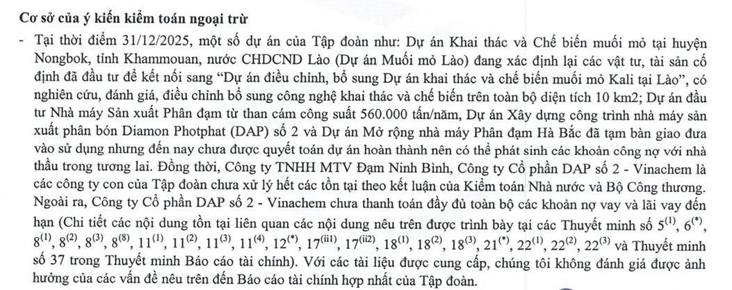 Nghịch lý tại Tập đoàn nhà nước 60.000 tỷ: Kiểm toán nghi ngờ khả năng hoạt động tại 3 công ty con dù doanh thu kỷ lục, lãi tăng vọt - Ảnh 3