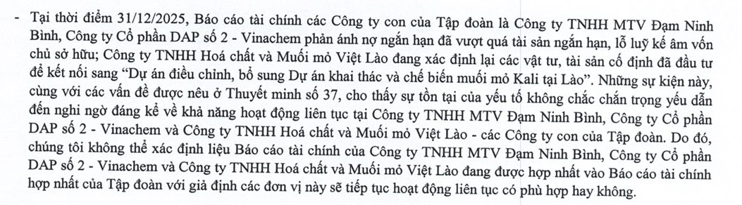 Nghịch lý tại Tập đoàn nhà nước 60.000 tỷ: Kiểm toán nghi ngờ khả năng hoạt động tại 3 công ty con dù doanh thu kỷ lục, lãi tăng vọt - Ảnh 4