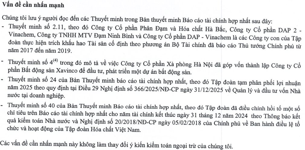 Nghịch lý tại Tập đoàn nhà nước 60.000 tỷ: Kiểm toán nghi ngờ khả năng hoạt động tại 3 công ty con dù doanh thu kỷ lục, lãi tăng vọt - Ảnh 5