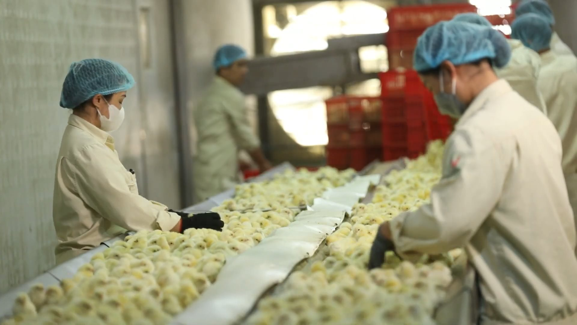 “Cỗ máy” sản xuất 300 triệu quả trứng/năm, có cả trứng nhân sâm của chủ tịch Nguyễn Như So: Nuôi 1 triệu con gà, vận hành bằng robot Đức - Ảnh 7
