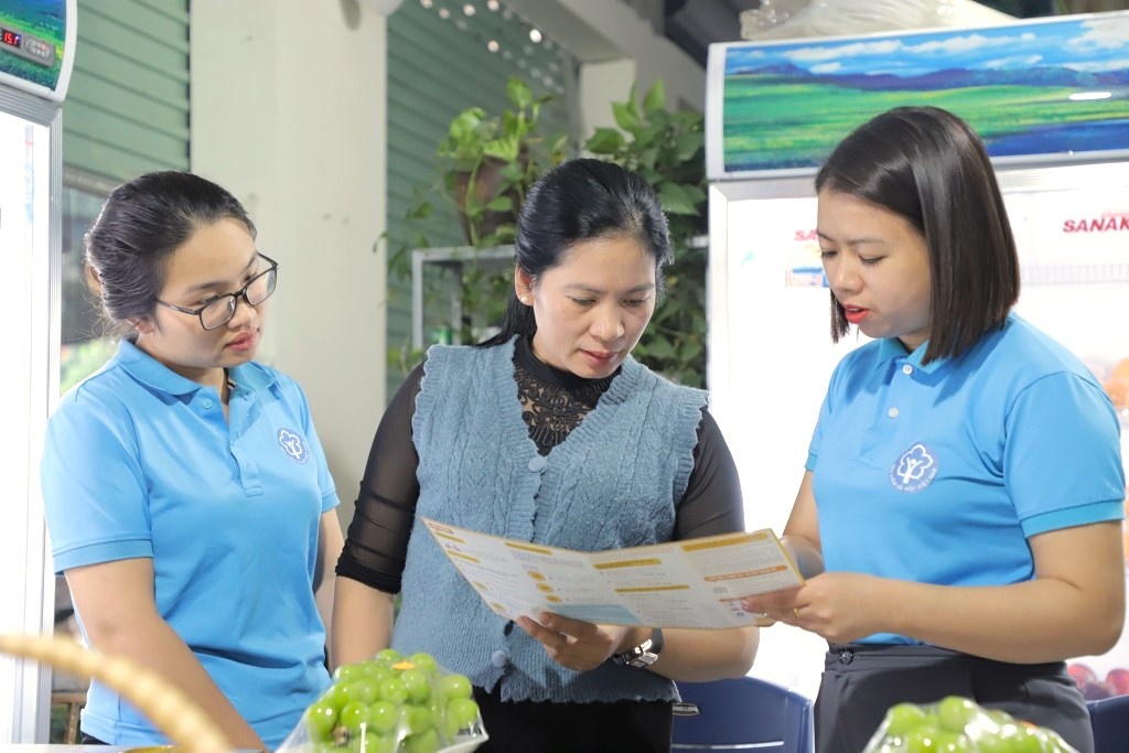 Đóng BHXH 31 năm, khi nào được nghỉ hưu trước tuổi? - Ảnh 1