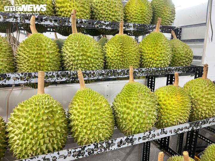 Sầu riêng 50.000 đồng/kg vẫn khó bán, loại nửa triệu đồng/kg lại ‘cháy hàng’ - Ảnh 3