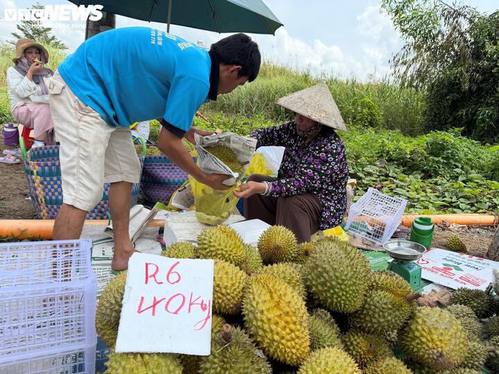 Con đường 'hot' nhất miền Tây: Nông dân đội nắng bán sầu riêng cả ngày - Ảnh 11