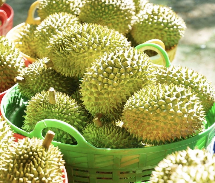 Sầu riêng rớt giá: Lối ra nào cho 'vua' trái cây? - Ảnh 1