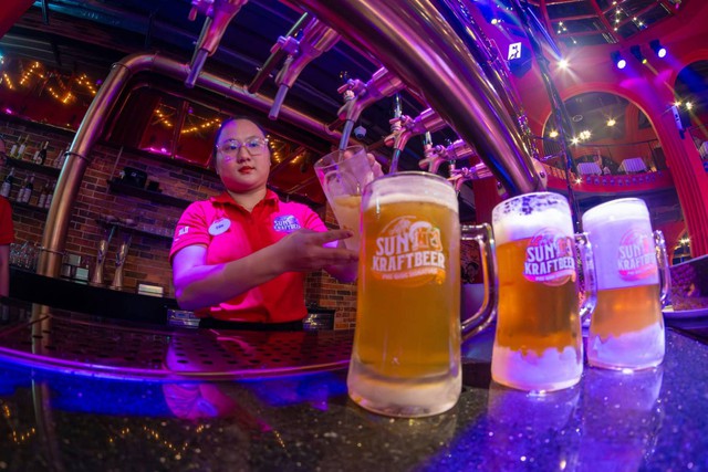 Công trình ven biển Việt Nam lập kỷ lục thế giới, chuyên gia Guinness thốt lên: "Chưa thấy nơi thứ hai" - Ảnh 3