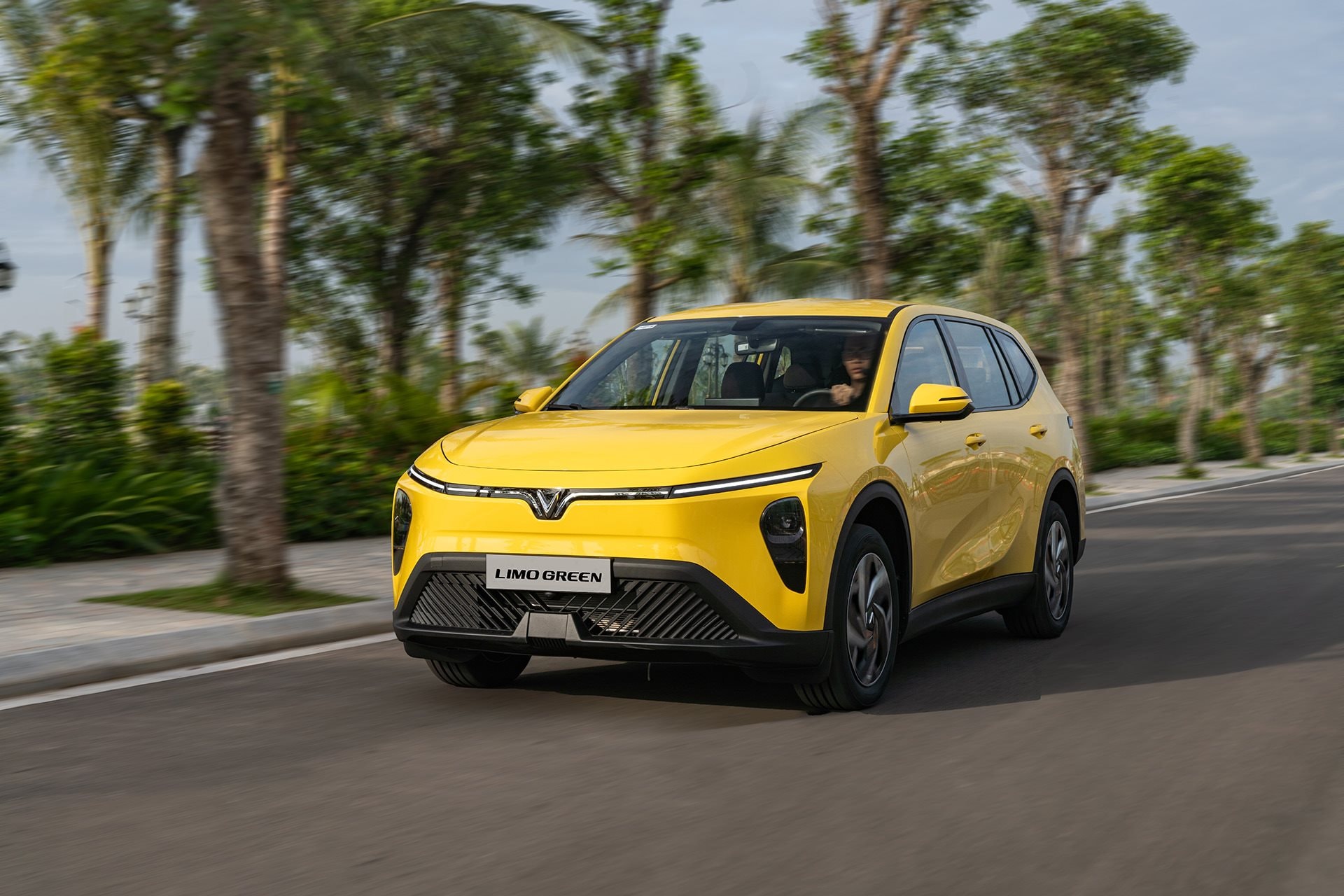 Bán xe 'mát tay' như tỷ phú Phạm Nhật Vượng: Mỗi ngày người Việt mua hơn 800 xe VinFast, Limo Green thành 'ngôi sao' mới - Ảnh 2