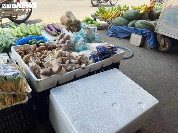 Nấm trôi nổi bủa vây chợ dân sinh TP.HCM: Người mua đang ‘đánh cược’ sức khỏe - Ảnh 3