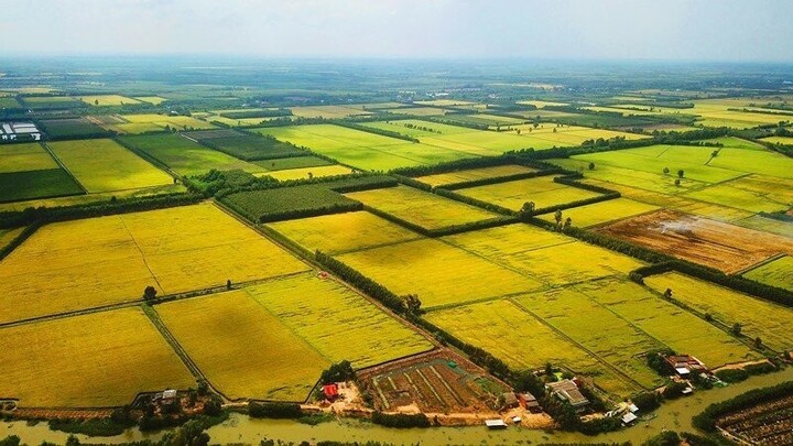 Sửa Luật Đất đai: Hết thời đầu cơ, gom đất để đón đền bù? - Ảnh 2
