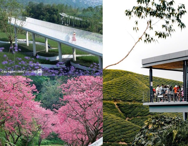 Rót hơn 2.400 tỷ lên đèo Ô Quý Hồ, Sa Pa có đại đô thị mới - Ảnh 4