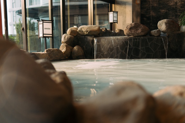 Khám phá các dòng khoáng tại Forest Onsen – Tổ hợp onsen trị liệu cách bến Bạch Đằng 30 phút lái xe - Ảnh 4