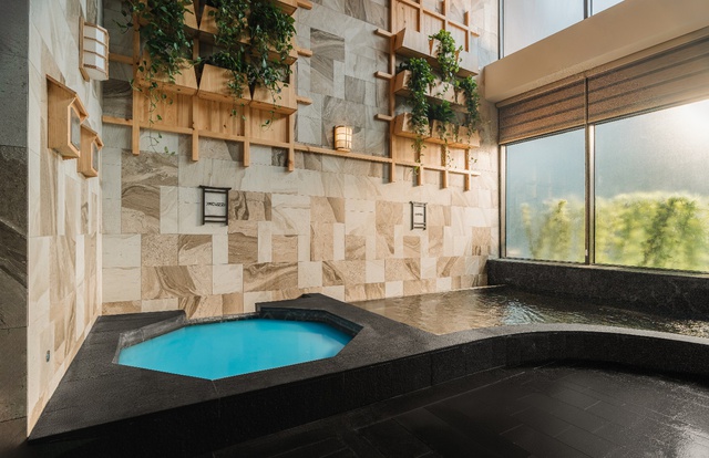 Khám phá các dòng khoáng tại Forest Onsen – Tổ hợp onsen trị liệu cách bến Bạch Đằng 30 phút lái xe - Ảnh 5